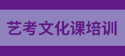 河南哪有好的艺考生文化课培训学校？|dg棋牌.cc(官方正式版)ios/安卓通用版/手机App