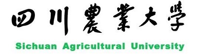 四川农业大学公布2020年高考招生录取分数|dg棋牌.cc(官方正式版)ios/安卓通用版/手机App